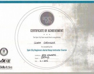 spin city beginners aerial hoop instructor course